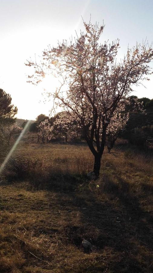 Casa Rural Con Jacuzzi La Parrilla  Dış mekan fotoğraf